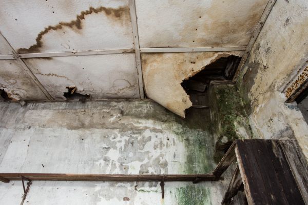 Cost of Water Damage Service in Columbia