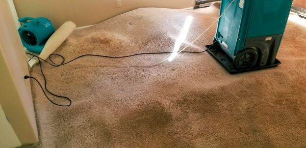 Cost of Flood Damage Cleanup in Columbia