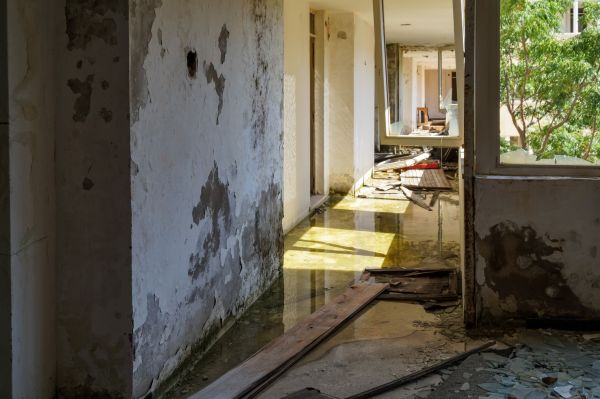 Cost of Water Removal Service in Columbia