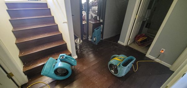 Cost of Water Damage Remediation in Columbia