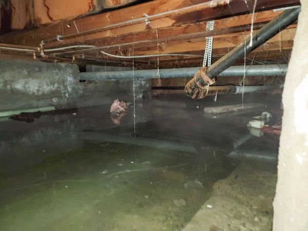Cost of Water Mitigation Service in Columbia