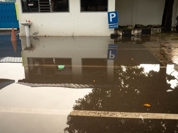 Cost of Storm Damage Repair in Columbia