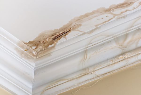 Cost of Water Damage Recovery in Columbia